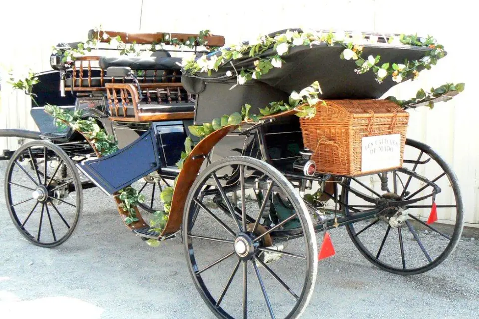 Les Calèches de Mado — photo 4