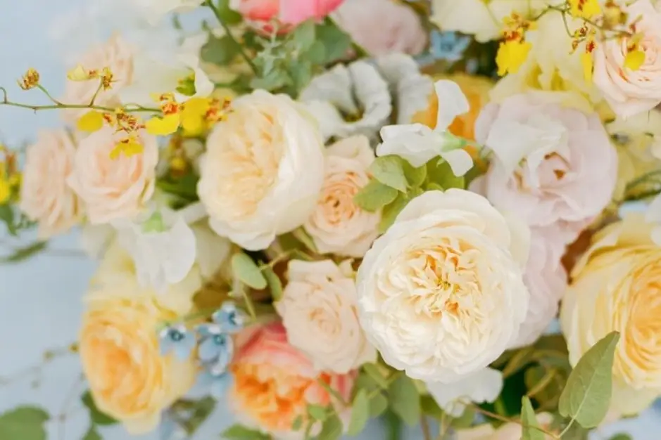 Silvia Coman Fleurs — photo 4