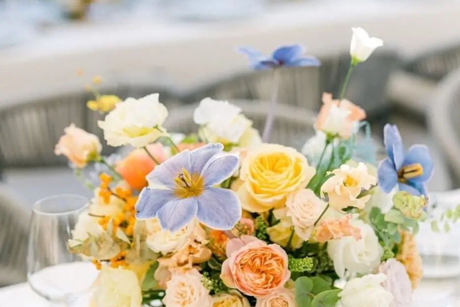 Silvia Coman Fleurs — photo 5