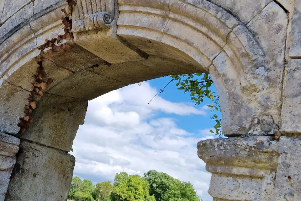 Domaine de la Motte — photo 4