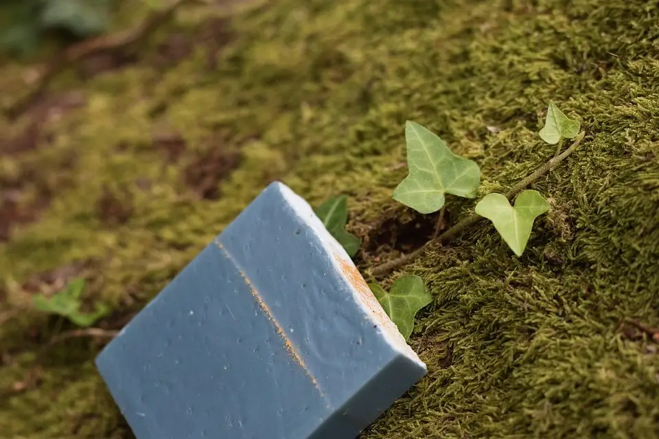 Oléa Ad Sana — photo 3