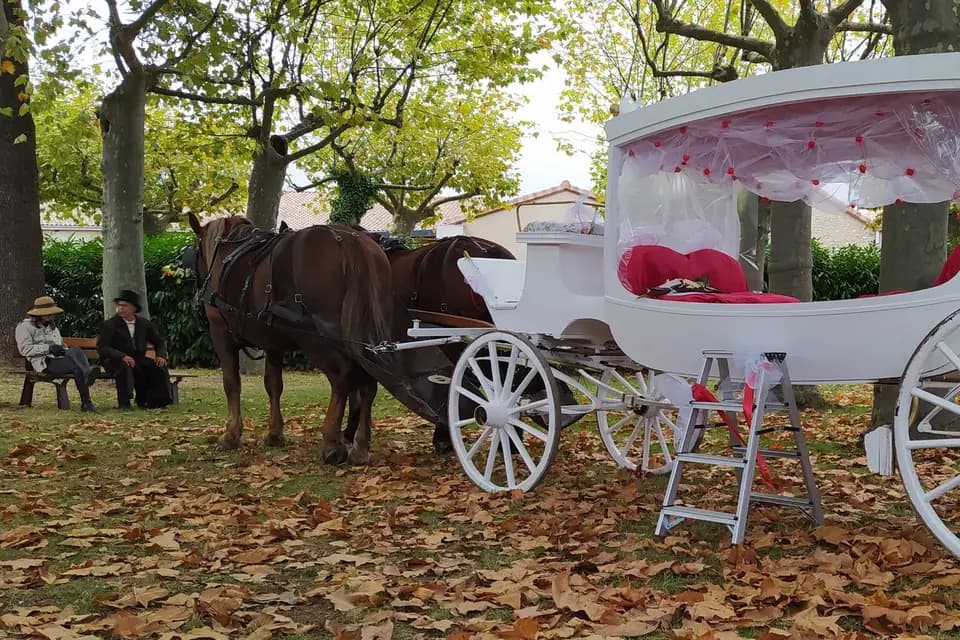 Cheval en Rênes — photo 1