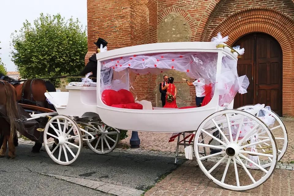 Cheval en Rênes — photo 2