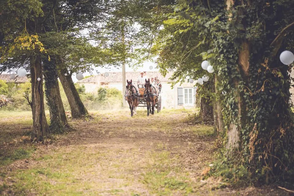 Domaine de la Motte — photo 7