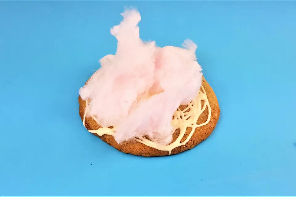 Mr Coo & Mrs Kies — photo 8