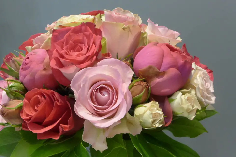 Passion Fleur — photo 6