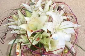 Arum'Anis — photo 3