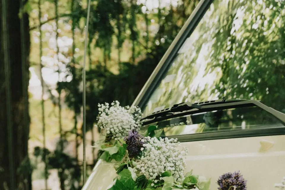 Yoann Gutierrez — photo 1