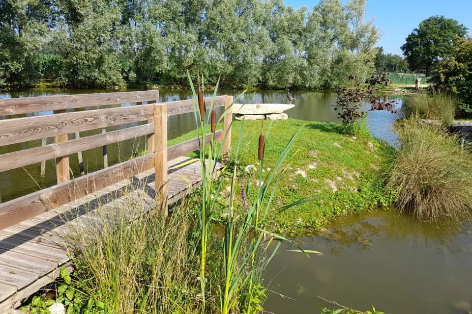 Le Charmay — photo 7