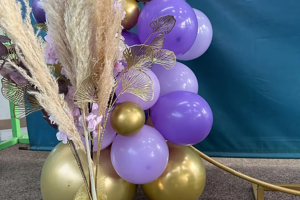 Delphine Events — photo 2