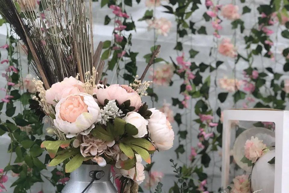 Delphine Events — photo 5