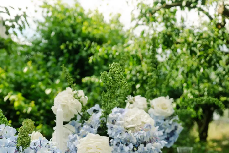 Diana Zadilska — photo 2