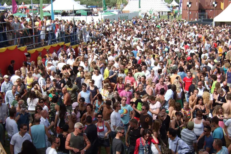 J-M Disco — photo 4