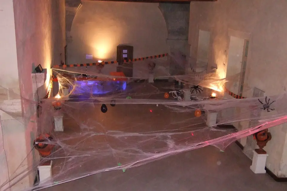 J-M Disco — photo 6