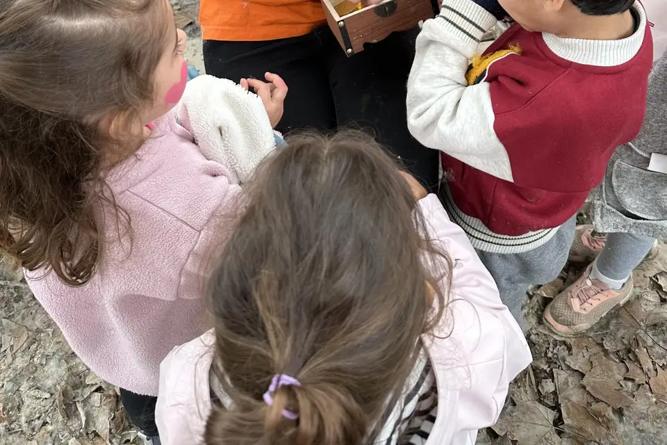 Babychou Services Avignon — photo 4