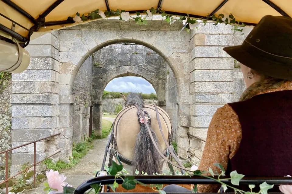 ForMul'Âne — photo 3