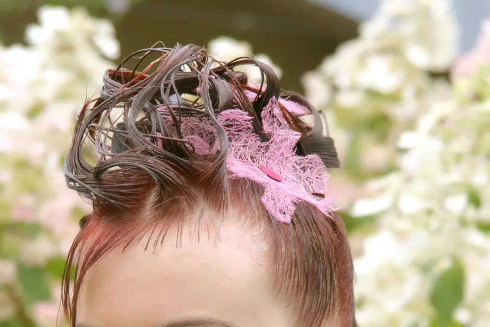 Véro Hebert — photo 4