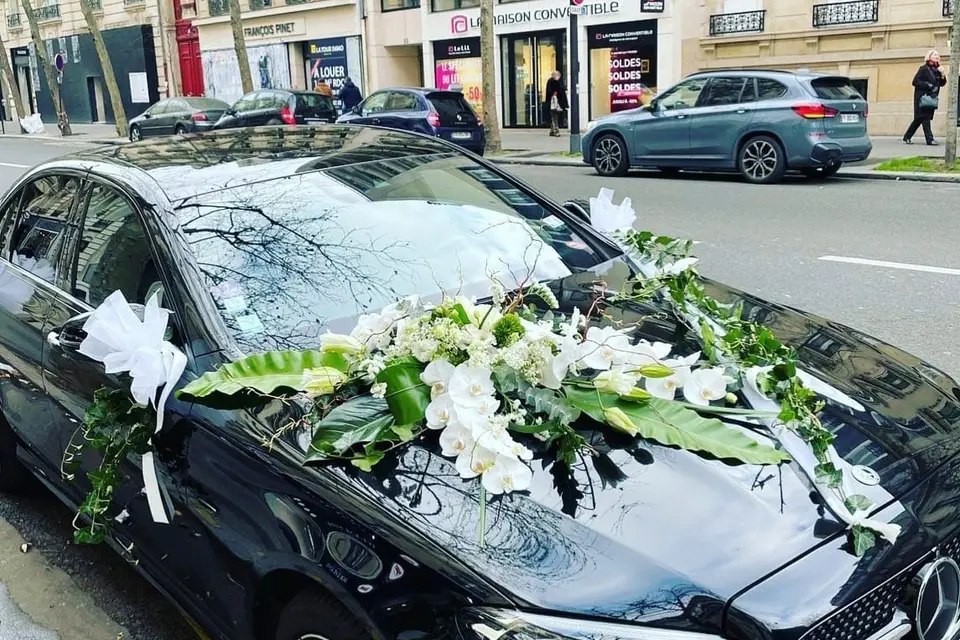 Fast Transport — photo 6