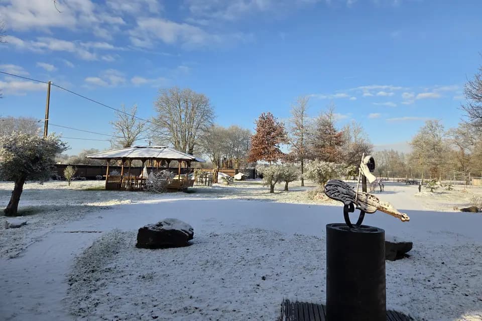 Courfleurie Réception — photo 2