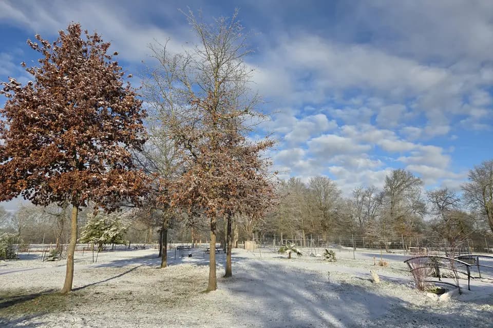 Courfleurie Réception — photo 3