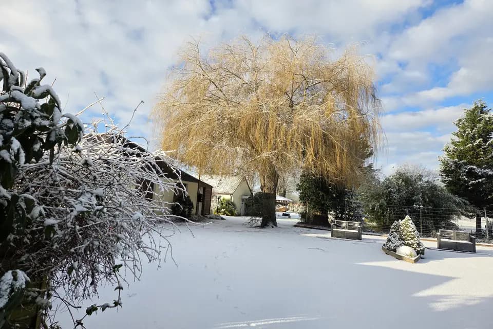 Courfleurie Réception — photo 5