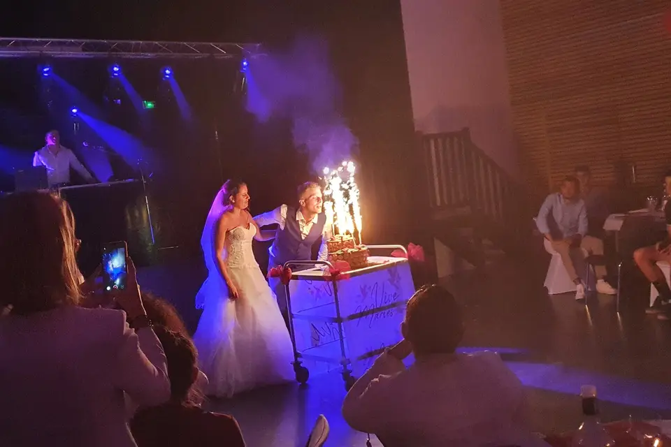 Music Zone - Daive Howner — photo 7