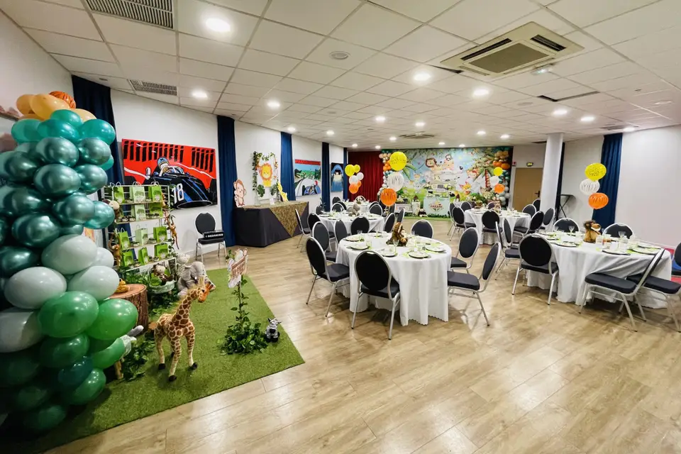 Aerokart — photo 5