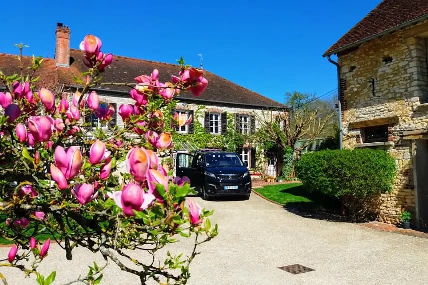 Sasu Vit1Chauffeur — photo 3