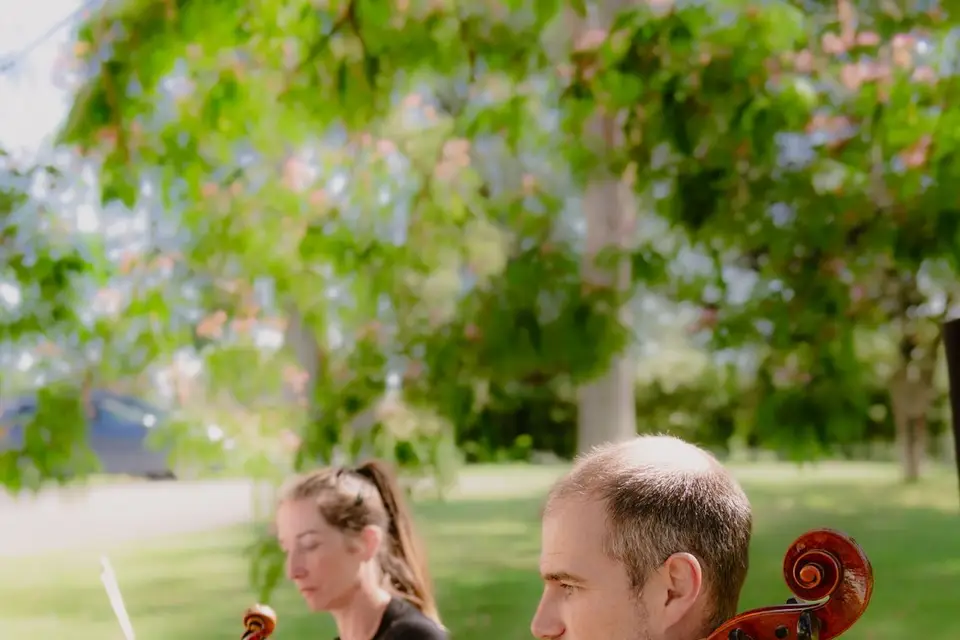 Château Laverdines — photo 8