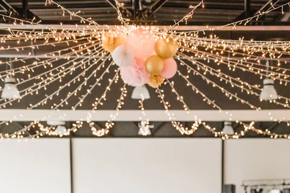 EcHologia - Parc écotouristique — photo 4