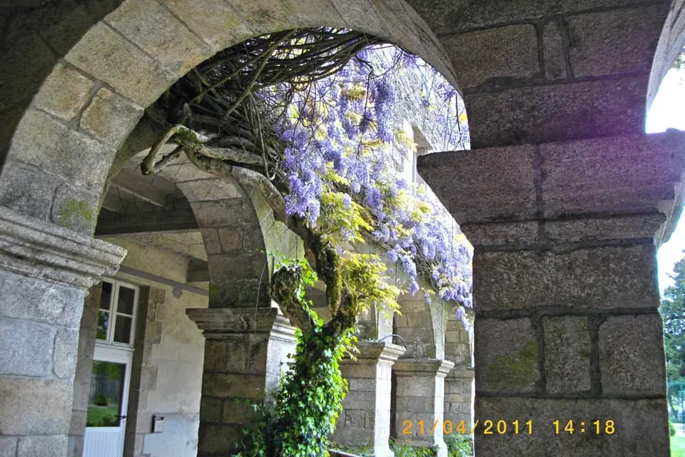 Les Arcades Maison d'Accueil — photo 2