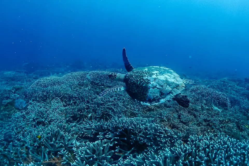 Tripbyklara — photo 1