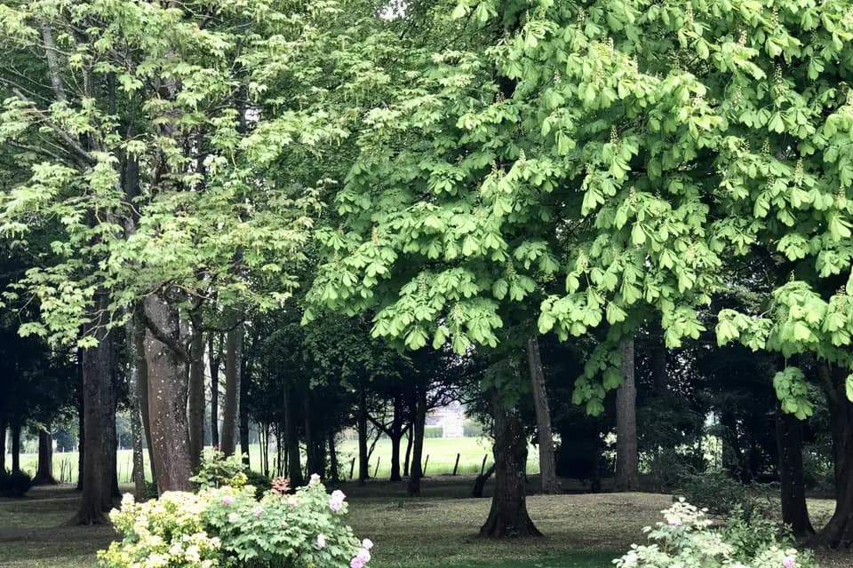 Château des Requêtes — photo 5