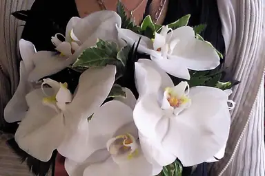 L'Orchidia — photo 3