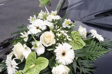 L'Orchidia — photo 2