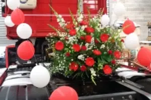 L'Orchidia — photo 4