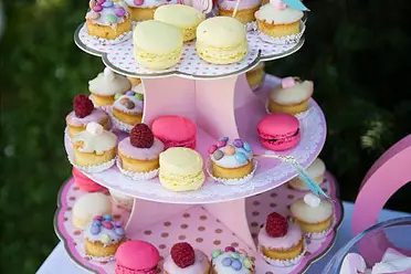 Party in a Box — photo 2