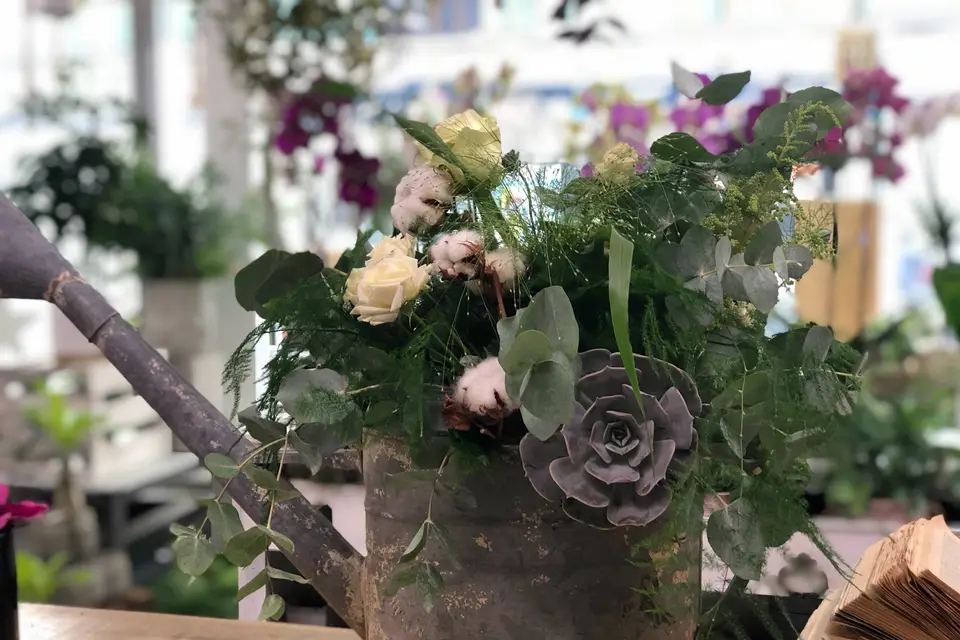 Les Pensées d’Anaïs — photo 5