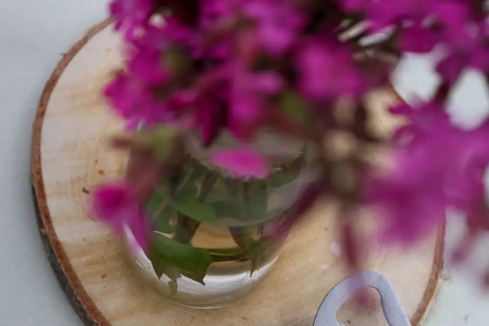 Décomorvan — photo 7