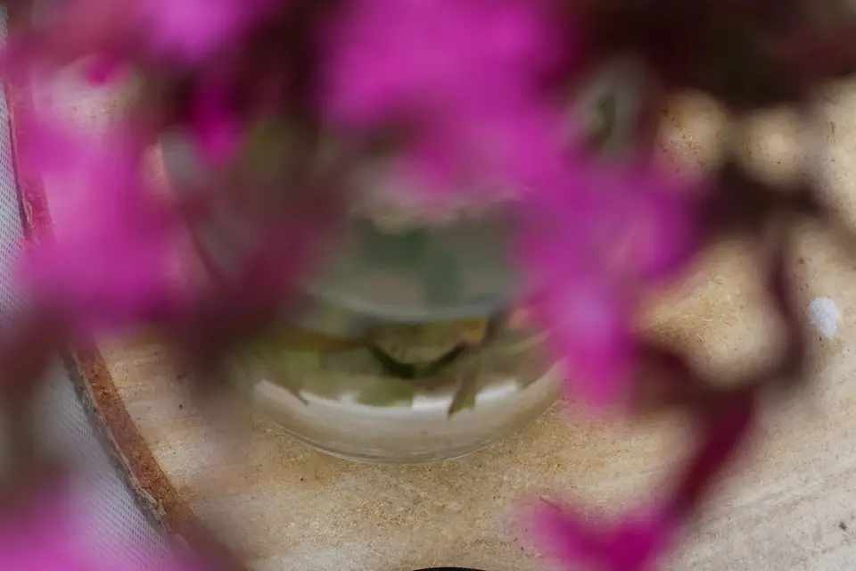 Décomorvan — photo 8