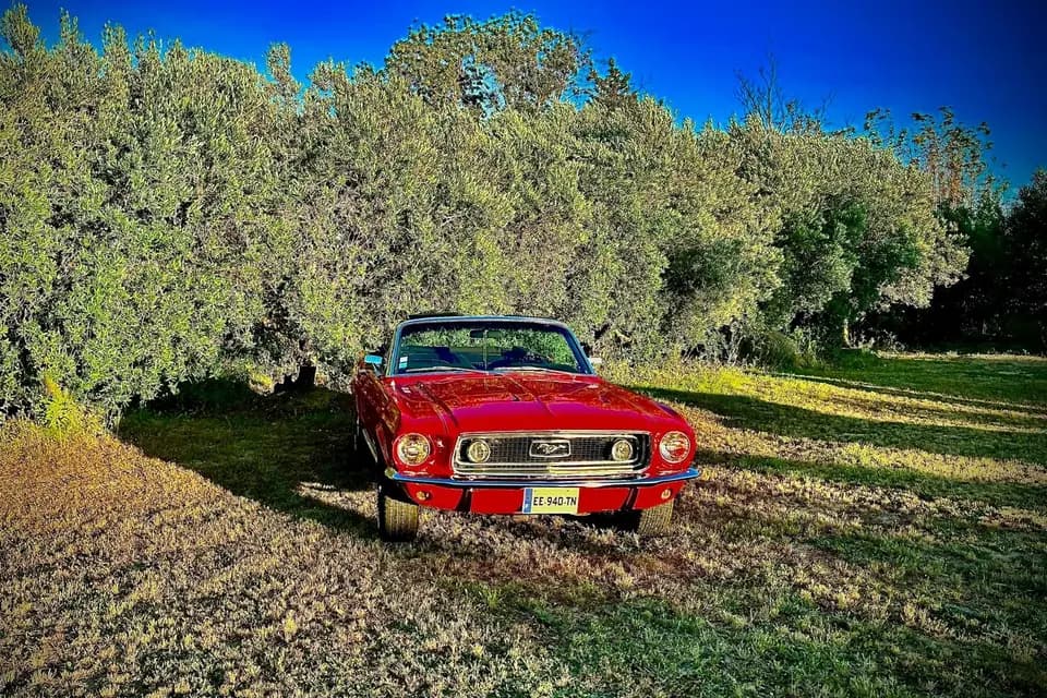 Franck Scotto — photo 1