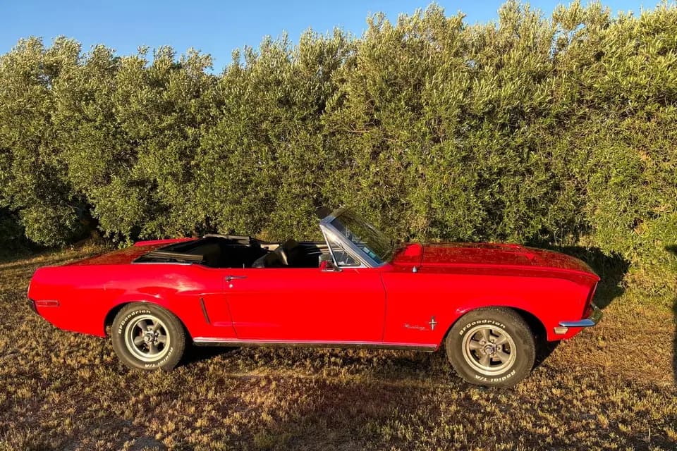 Franck Scotto — photo 2