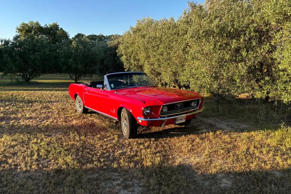 Franck Scotto — photo 3