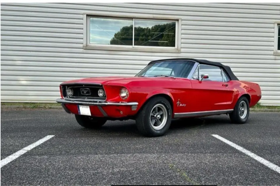 Franck Scotto — photo 4