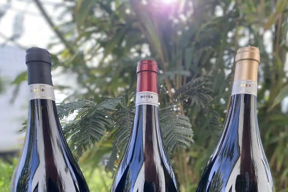 Original Drinks — photo 6