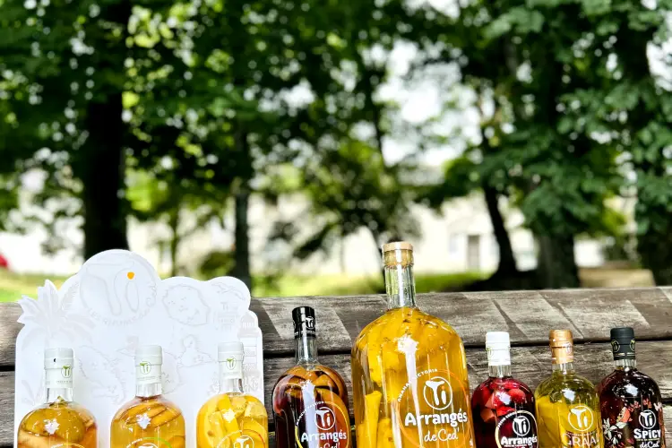 Original Drinks — photo 7