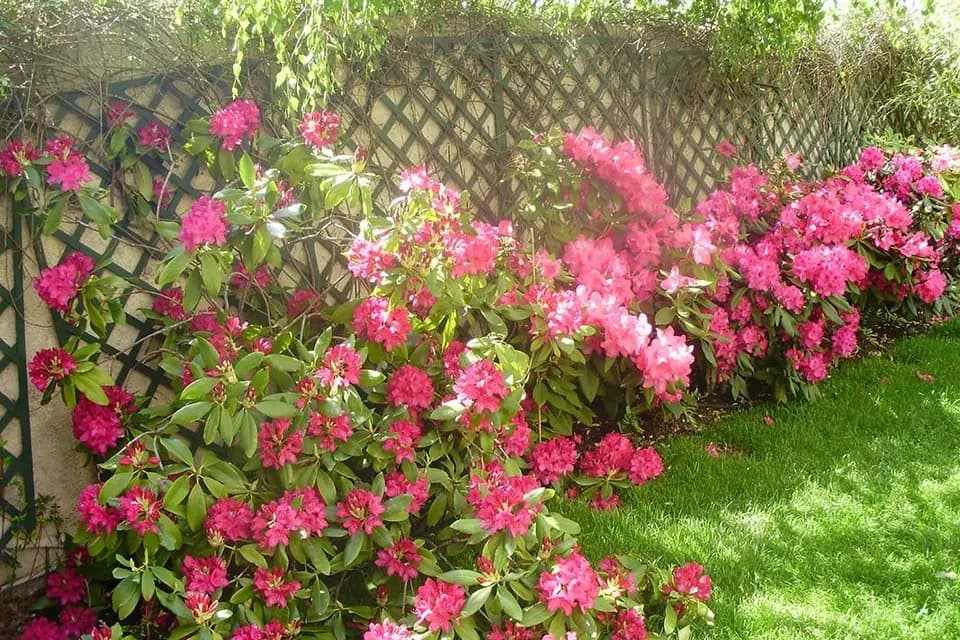 Villa Escudier — photo 5