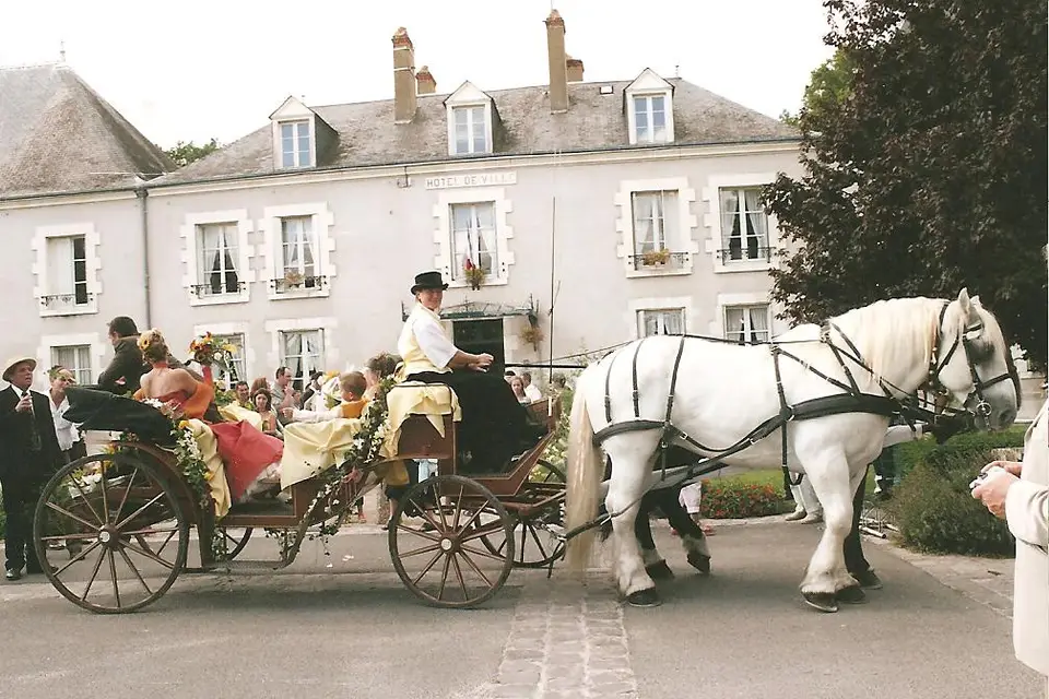 Attelages Solognots — photo 2