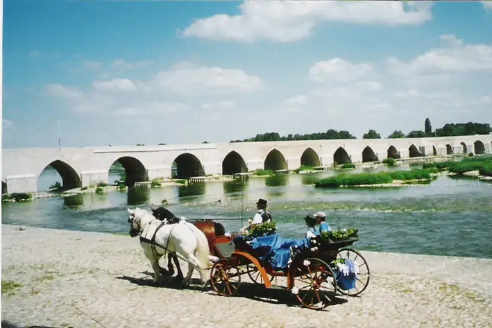 Attelages Solognots — photo 1