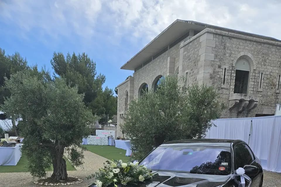 Charles Limousines — photo 2